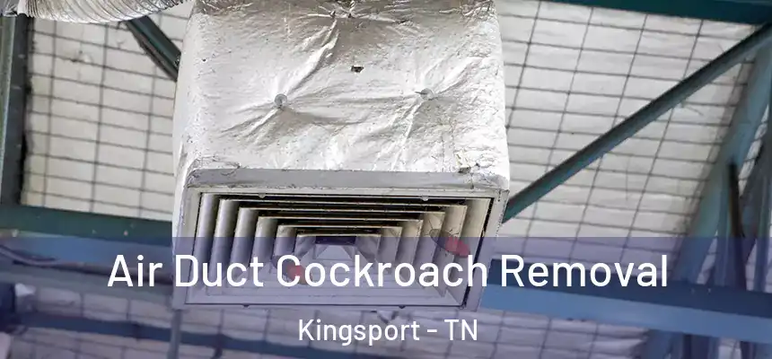 Air Duct Cockroach Removal Kingsport - TN