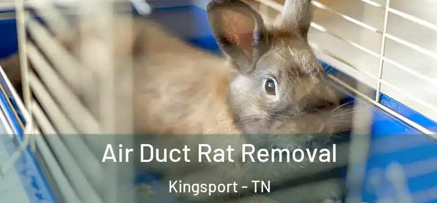 Air Duct Rat Removal Kingsport - TN