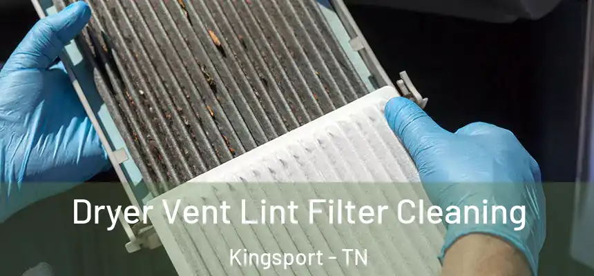 Dryer Vent Lint Filter Cleaning Kingsport - TN