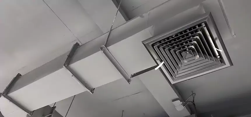 Our Pest Removal From Ducts Services in Kingsport, TN