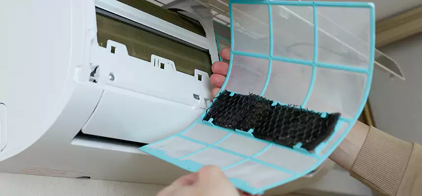 Gentle Ductwork Odor-Control Pet Dander Duct Cleaning in Kingsport, TN