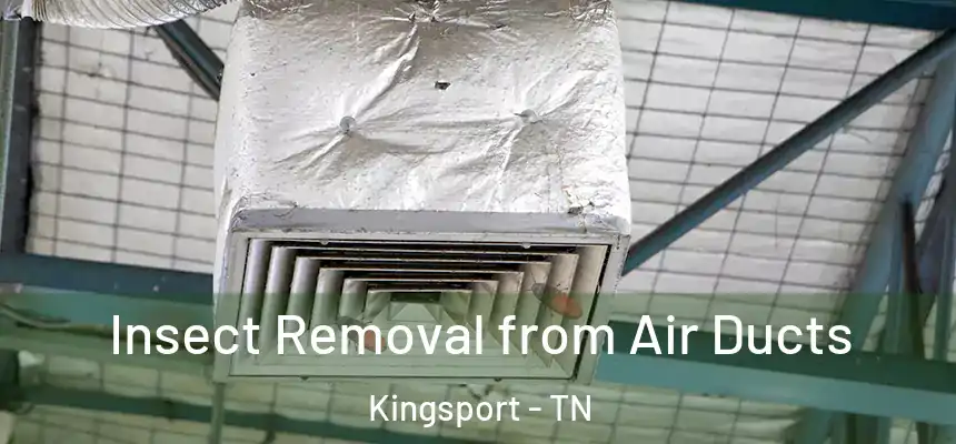 Insect Removal from Air Ducts Kingsport - TN
