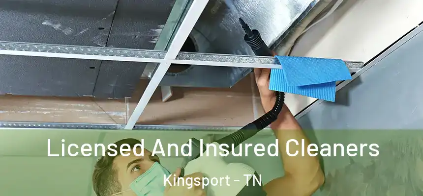 Licensed And Insured Cleaners Kingsport - TN