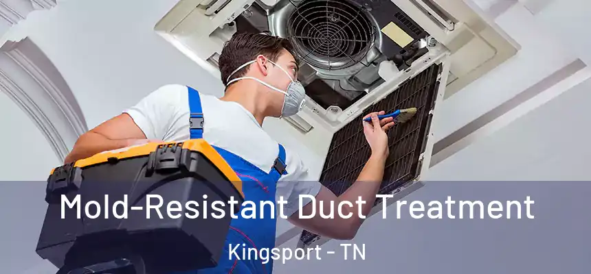 Mold-Resistant Duct Treatment Kingsport - TN