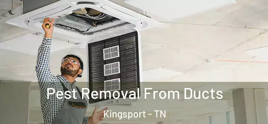 Pest Removal From Ducts Kingsport - TN