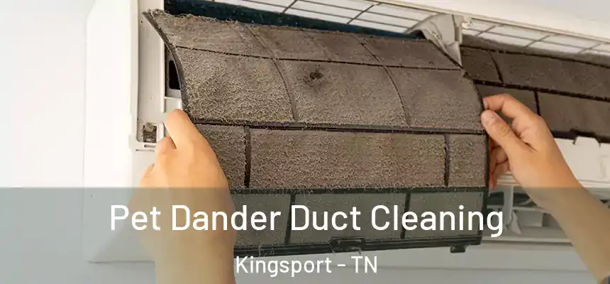 Pet Dander Duct Cleaning Kingsport - TN
