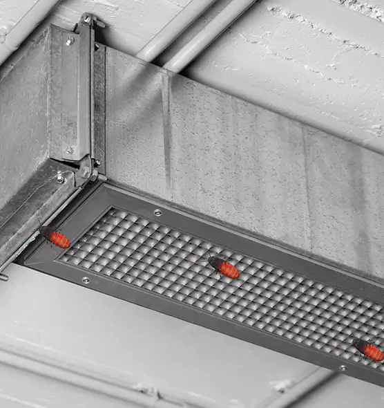 Affordable Insect Removal from Air Ducts in Kingsport, TN