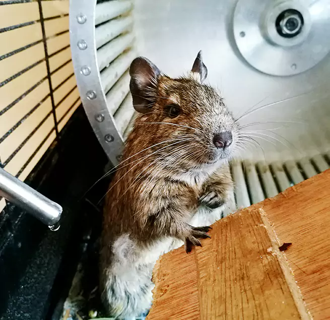 Why Homeowners & Businesses Trust Us Kingsport, TN?