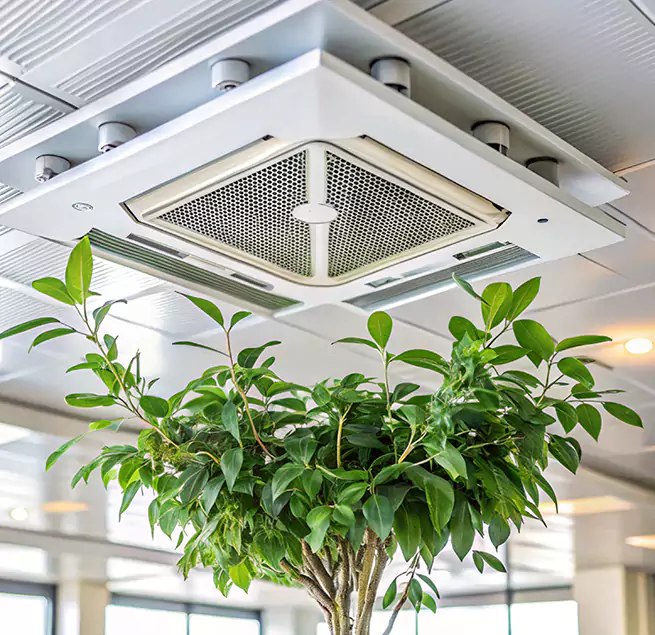 Why Homeowners & Businesses Trust Us in Kingsport, TN