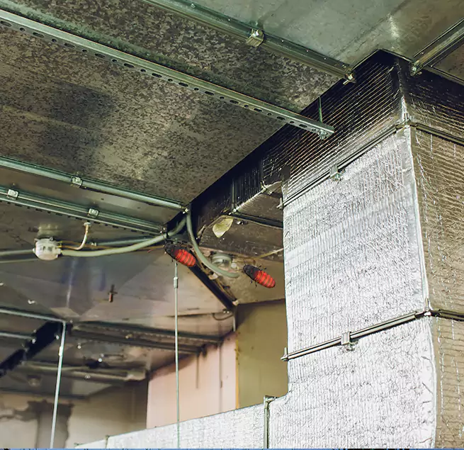 Why Homeowners & Businesses Trust Us Kingsport, TN?