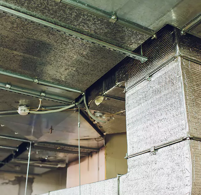 Why Homeowners & Businesses Trust Us in Kingsport, TN?